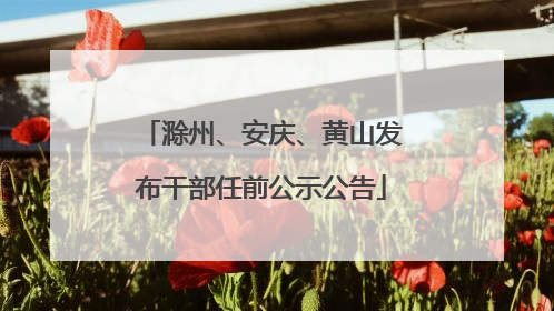 滁州、安庆、黄山发布干部任前公示公告