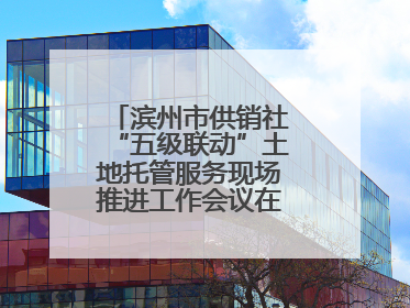 滨州市供销社“五级联动”土地托管服务现场推进工作会议在无棣县举办