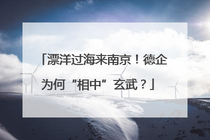 漂洋过海来南京！德企为何“相中”玄武？
