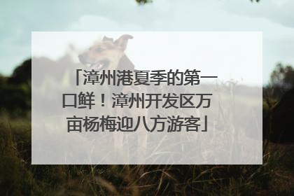 漳州港夏季的第一口鲜！漳州开发区万亩杨梅迎八方游客