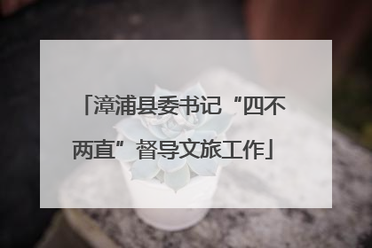 漳浦县委书记“四不两直”督导文旅工作