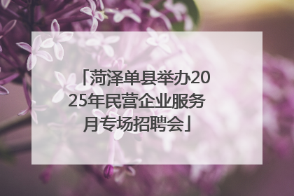 菏泽单县举办2025年民营企业服务月专场招聘会