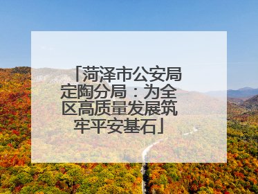 菏泽市公安局定陶分局：为全区高质量发展筑牢平安基石