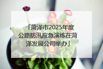 菏泽市2025年度公路防汛应急演练在菏泽发展公司举办