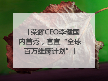 荣耀CEO李健国内首秀，官宣“全球百万雄鹰计划”