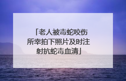 老人被毒蛇咬伤 所幸拍下照片及时注射抗蛇毒血清