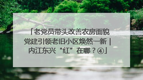老党员带头改善农房面貌 党建引领老旧小区焕然一新｜内江东兴“红”在哪？④