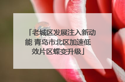 老城区发展注入新动能 青岛市北区加速低效片区蝶变升级