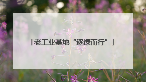 老工业基地“逐绿而行”