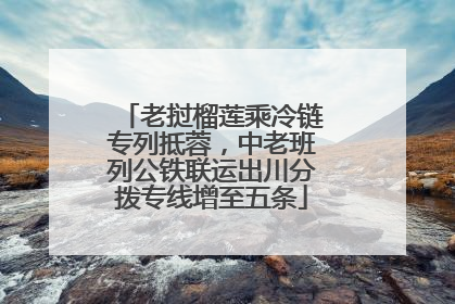 老挝榴莲乘冷链专列抵蓉，中老班列公铁联运出川分拨专线增至五条