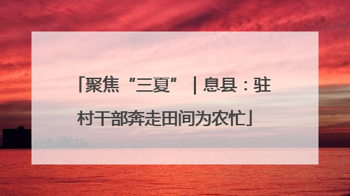 聚焦“三夏”｜息县：驻村干部奔走田间为农忙