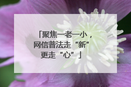 聚焦一老一小，网信普法走“新”更走“心”