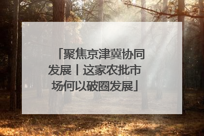 聚焦京津冀协同发展丨这家农批市场何以破圈发展
