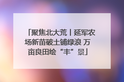 聚焦北大荒丨延军农场新苗破土铺绿浪 万亩良田绘“丰”景