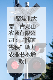 聚焦北大荒｜青龙山农场有限公司：“插前寄秧”助力农业节本增效