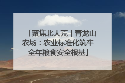 聚焦北大荒｜青龙山农场：农业标准化筑牢全年粮食安全根基