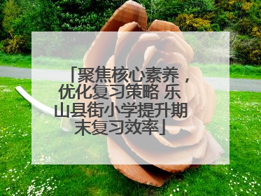 聚焦核心素养，优化复习策略 乐山县街小学提升期末复习效率