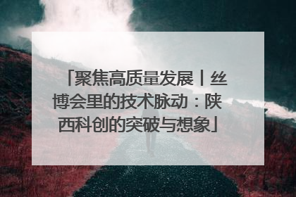 聚焦高质量发展丨丝博会里的技术脉动：陕西科创的突破与想象