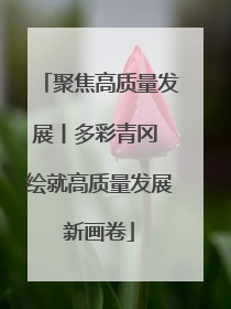 聚焦高质量发展丨多彩青冈 绘就高质量发展新画卷