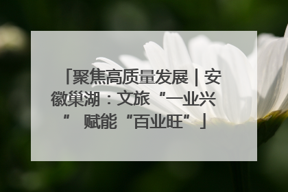 聚焦高质量发展｜安徽巢湖：文旅“一业兴” 赋能“百业旺”