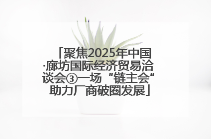 聚焦2025年中国·廊坊国际经济贸易洽谈会③一场“链主会” 助力厂商破圈发展