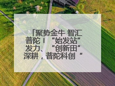 聚势金牛 智汇普陀〡“始发站”发力、“创新田”深耕，普陀科创“金牛”闪耀