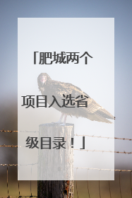 肥城两个项目入选省级目录！