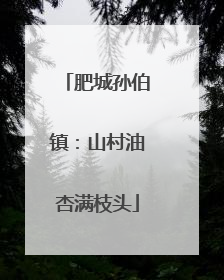肥城孙伯镇：山村油杏满枝头