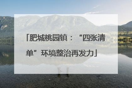 肥城桃园镇：“四张清单”环境整治再发力
