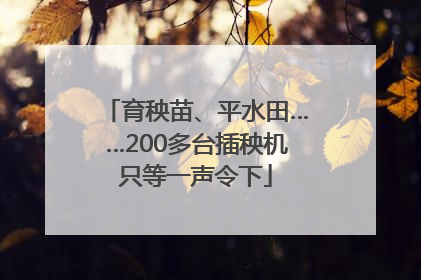 育秧苗、平水田……200多台插秧机只等一声令下