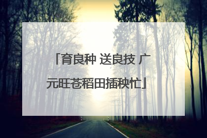 育良种 送良技 广元旺苍稻田插秧忙