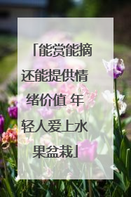 能赏能摘还能提供情绪价值 年轻人爱上水果盆栽
