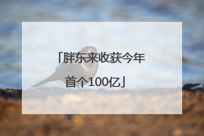 胖东来收获今年首个100亿