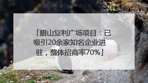 腊山复利广场项目：已吸引20余家知名企业进驻，整体招商率70%