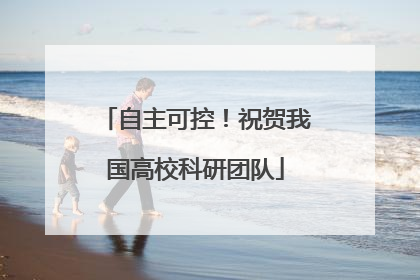 自主可控！祝贺我国高校科研团队