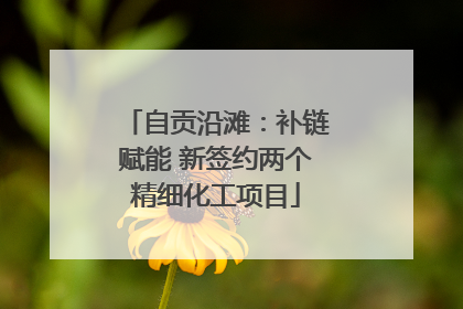 自贡沿滩：补链赋能 新签约两个精细化工项目