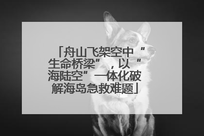 舟山飞架空中“生命桥梁”，以“海陆空”一体化破解海岛急救难题