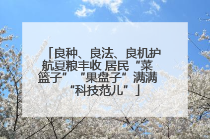 良种、良法、良机护航夏粮丰收 居民“菜篮子”“果盘子”满满“科技范儿”