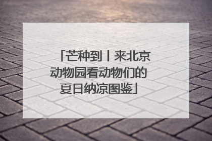 芒种到丨来北京动物园看动物们的夏日纳凉图鉴