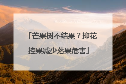 芒果树不结果？抑花控果减少落果危害