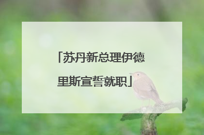 苏丹新总理伊德里斯宣誓就职