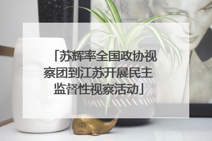苏辉率全国政协视察团到江苏开展民主监督性视察活动