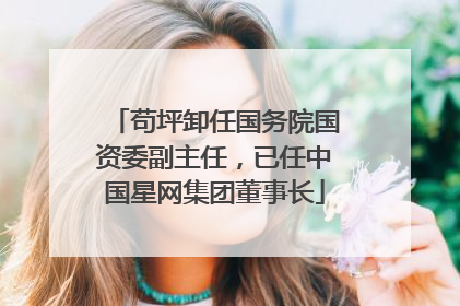 苟坪卸任国务院国资委副主任，已任中国星网集团董事长