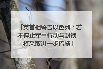 英首相警告以色列：若不停止军事行动与封锁 将采取进一步措施