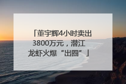 董宇辉4小时卖出3800万元，潜江龙虾火爆“出圈”
