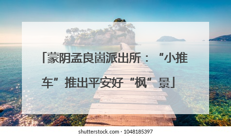 蒙阴孟良崮派出所：“小推车”推出平安好“枫”景