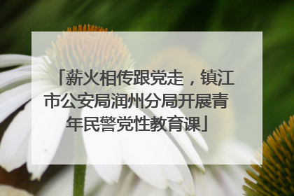 薪火相传跟党走，镇江市公安局润州分局开展青年民警党性教育课