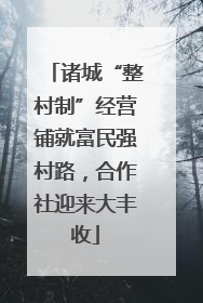 诸城“整村制”经营铺就富民强村路，合作社迎来大丰收