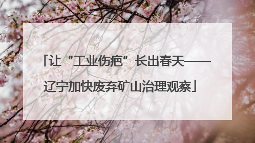 让“工业伤疤”长出春天——辽宁加快废弃矿山治理观察