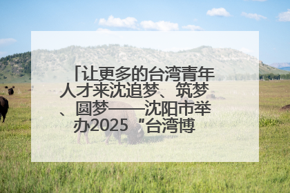 让更多的台湾青年人才来沈追梦、筑梦、圆梦——沈阳市举办2025“台湾博士沈阳行”活动